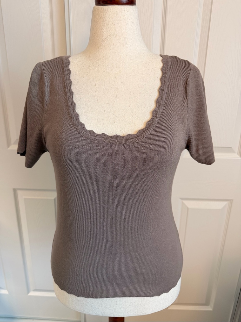 Zenobia Scallop Scoop Neck Short Sleeve Top - Gray